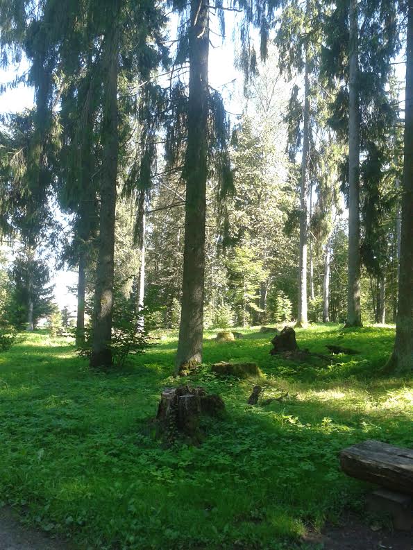Mālpils muižas parks